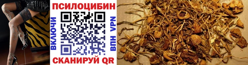Псилоцибиновые грибы прущие грибы  купить   mega ONION  Мурманск 